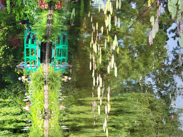 20220519_164742.jpg